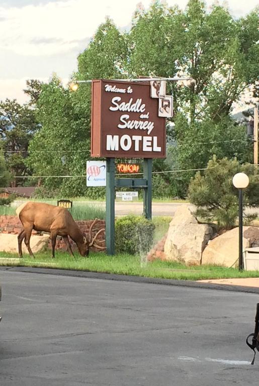 אסטס פארק Saddle & Surrey Motel מראה חיצוני תמונה